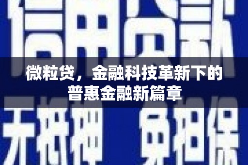 宁海微粒贷，金融科技革新下的普惠金融新篇章