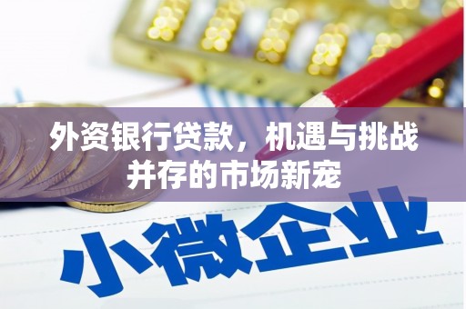 屏南外资银行贷款，机遇与挑战并存的市场新宠
