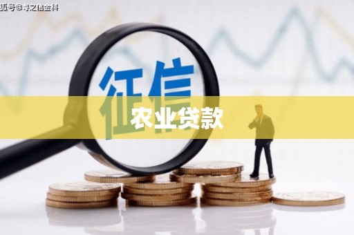 云南农业贷款