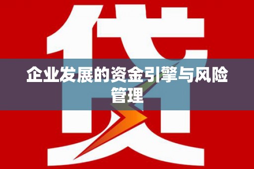 东方企业发展的资金引擎与风险管理