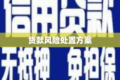 梅山贷款风险处置方案