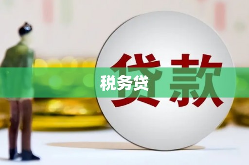 定海税务贷