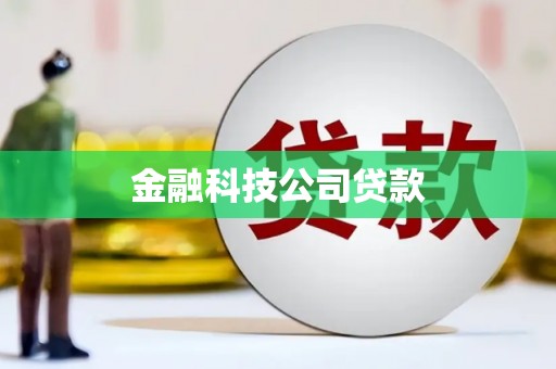 南湖金融科技公司贷款