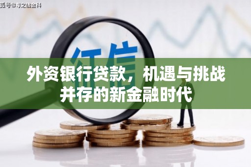 项城外资银行贷款，机遇与挑战并存的新金融时代