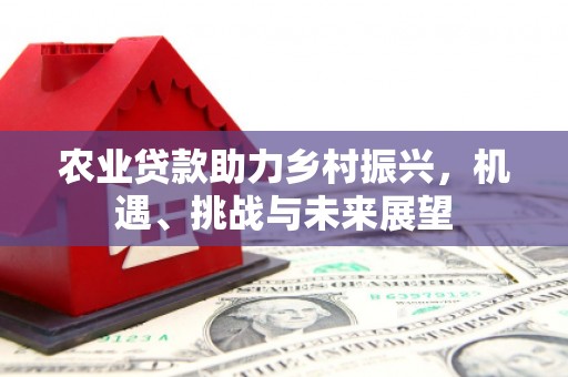 特克斯农业贷款助力乡村振兴，机遇、挑战与未来展望