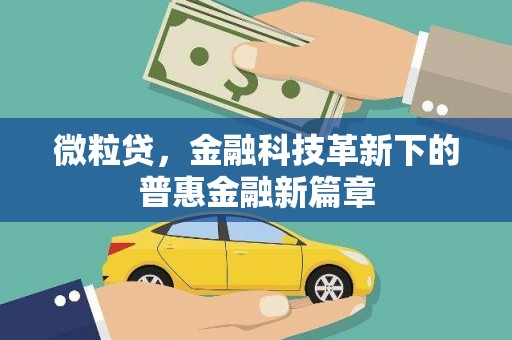夏邑微粒贷，金融科技革新下的普惠金融新篇章