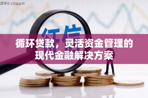 芦山循环贷款，灵活资金管理的现代金融解决方案