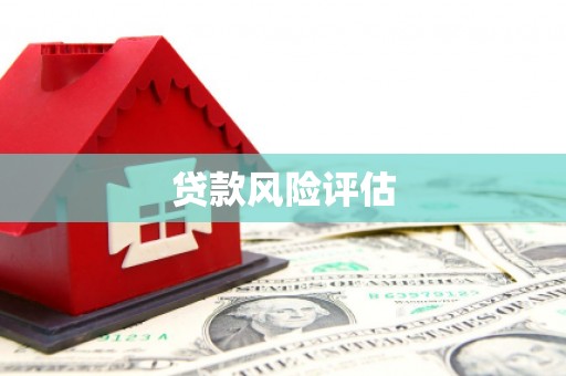 抚远贷款风险评估