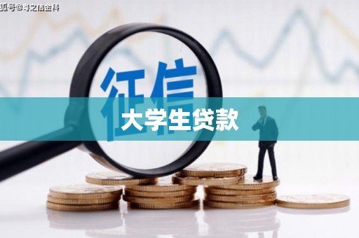 金安大学生贷款
