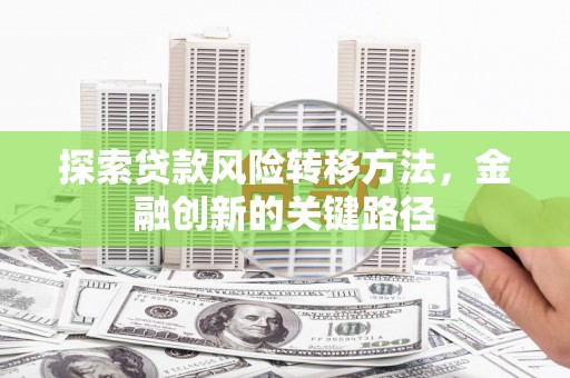 大甲探索贷款风险转移方法，金融创新的关键路径