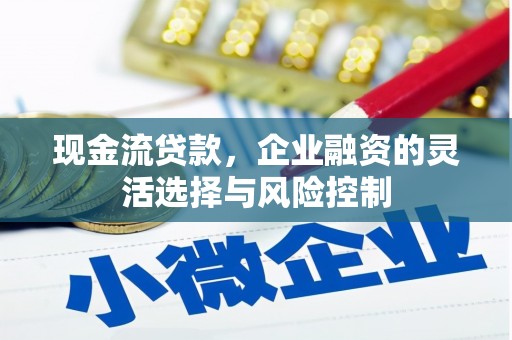 红原现金流贷款，企业融资的灵活选择与风险控制