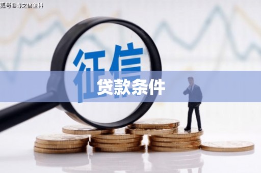 卓尼贷款条件