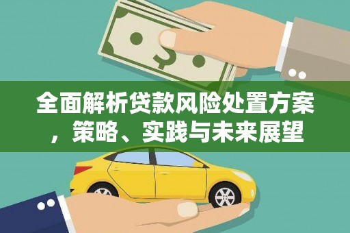 南屯全面解析贷款风险处置方案，策略、实践与未来展望