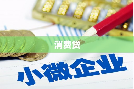 东宝消费贷