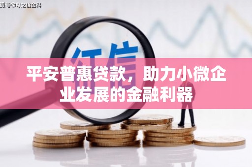 固镇平安普惠贷款，助力小微企业发展的金融利器