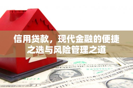 长洲信用贷款，现代金融的便捷之选与风险管理之道