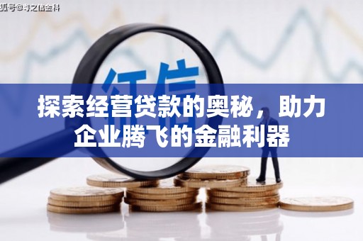 惠济探索经营贷款的奥秘，助力企业腾飞的金融利器