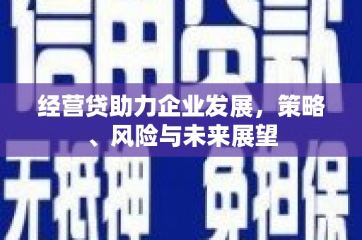 维西经营贷助力企业发展，策略、风险与未来展望