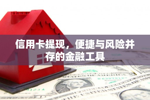 武鸣信用卡提现，便捷与风险并存的金融工具