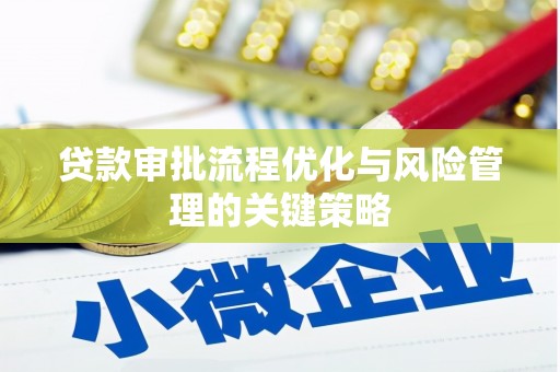 镇坪贷款审批流程优化与风险管理的关键策略