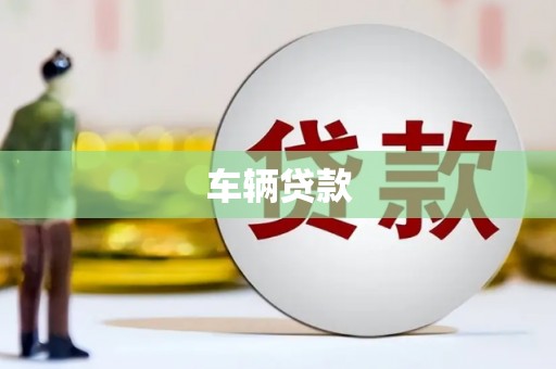 施甸车辆贷款