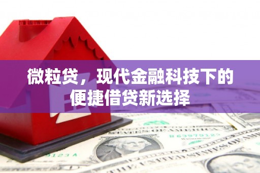 章丘微粒贷，现代金融科技下的便捷借贷新选择