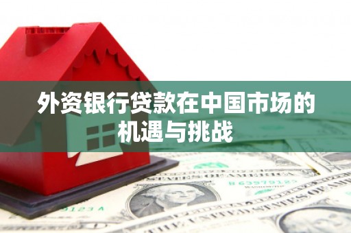 雾峰外资银行贷款在中国市场的机遇与挑战