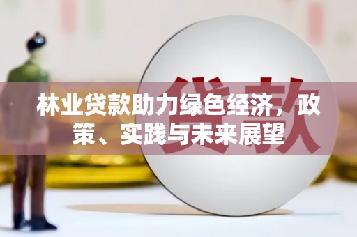 黔西林业贷款助力绿色经济，政策、实践与未来展望