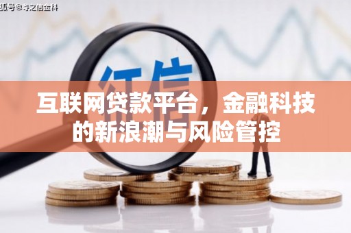 静海互联网贷款平台，金融科技的新浪潮与风险管控