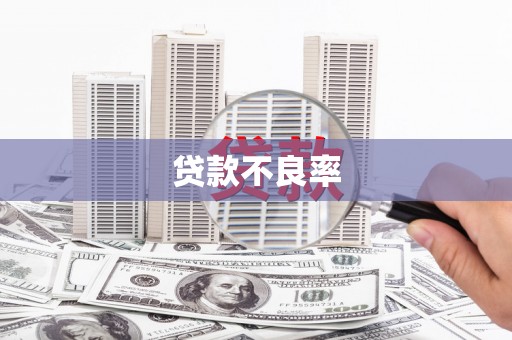 龙凤贷款不良率