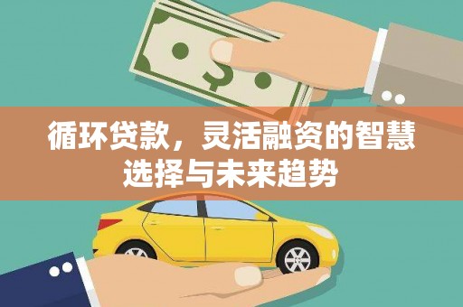巴塘循环贷款，灵活融资的智慧选择与未来趋势