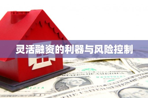 翼城灵活融资的利器与风险控制