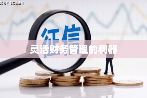 周宁灵活财务管理的利器