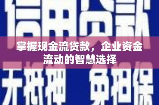 庐江掌握现金流贷款，企业资金流动的智慧选择