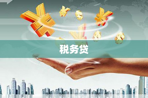 六枝税务贷