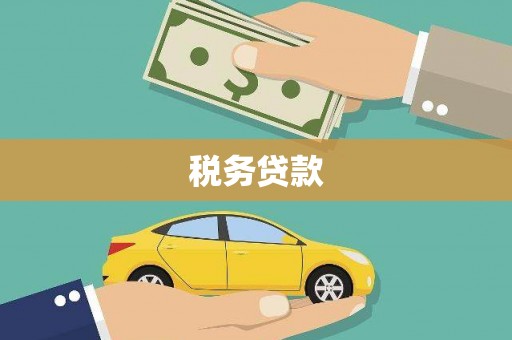 柳河税务贷款
