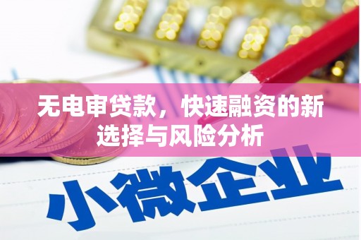 贞丰无电审贷款，快速融资的新选择与风险分析