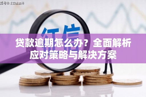大连贷款逾期怎么办？全面解析应对策略与解决方案