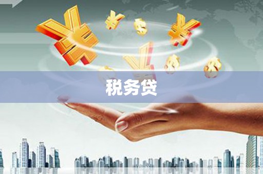 成功税务贷