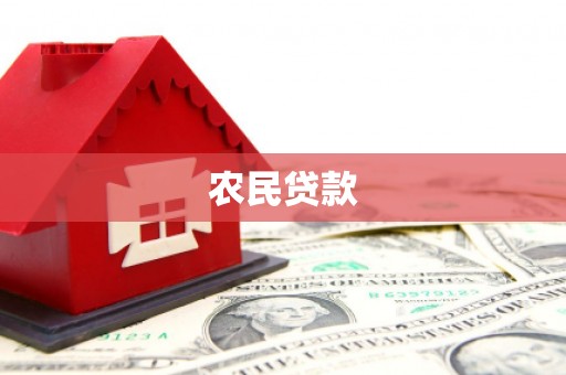 禄劝农民贷款