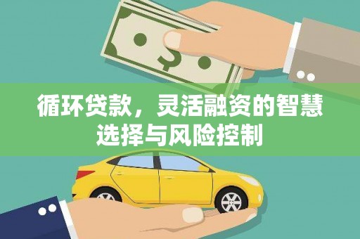 马龙循环贷款，灵活融资的智慧选择与风险控制