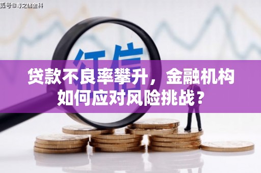 岱山贷款不良率攀升，金融机构如何应对风险挑战？