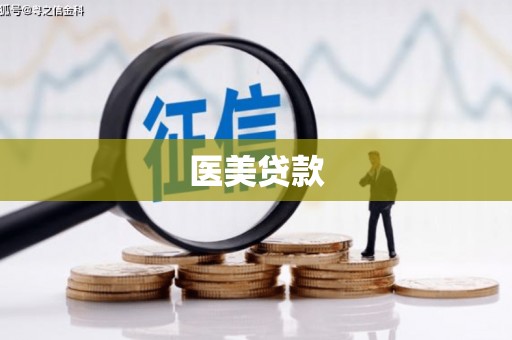 新野医美贷款