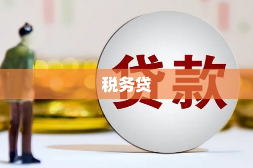 冀州税务贷