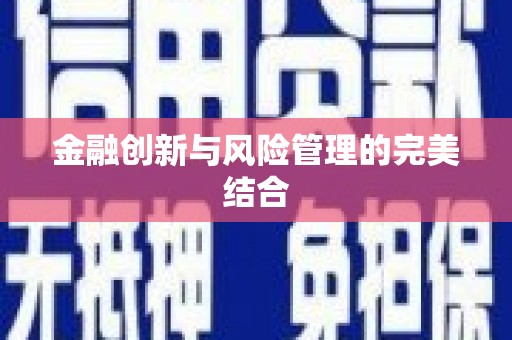 锡山金融创新与风险管理的完美结合