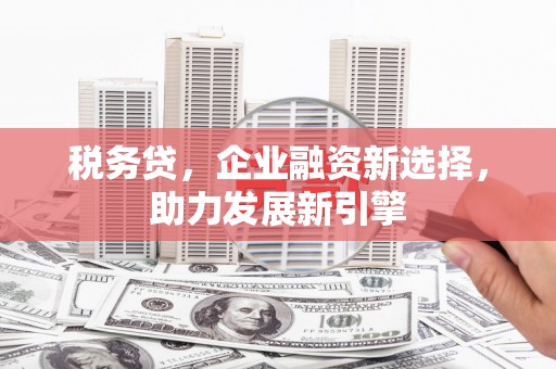 太保税务贷，企业融资新选择，助力发展新引擎