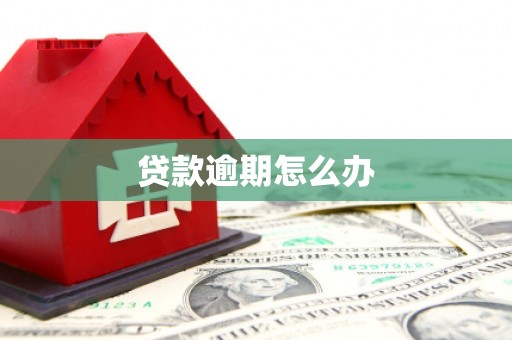 高坪贷款逾期怎么办