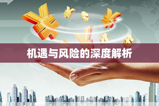 凤凰机遇与风险的深度解析