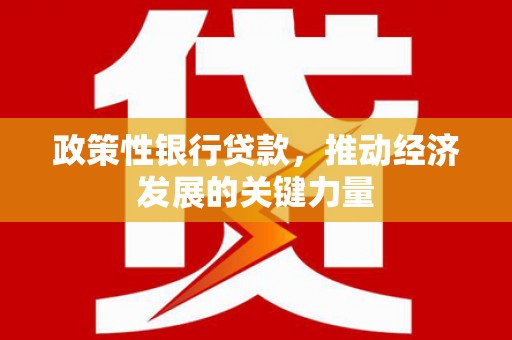 双阳政策性银行贷款，推动经济发展的关键力量