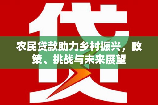 赵县农民贷款助力乡村振兴，政策、挑战与未来展望